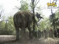 浙版《新西游记》片尾曲_17173游戏播客_17